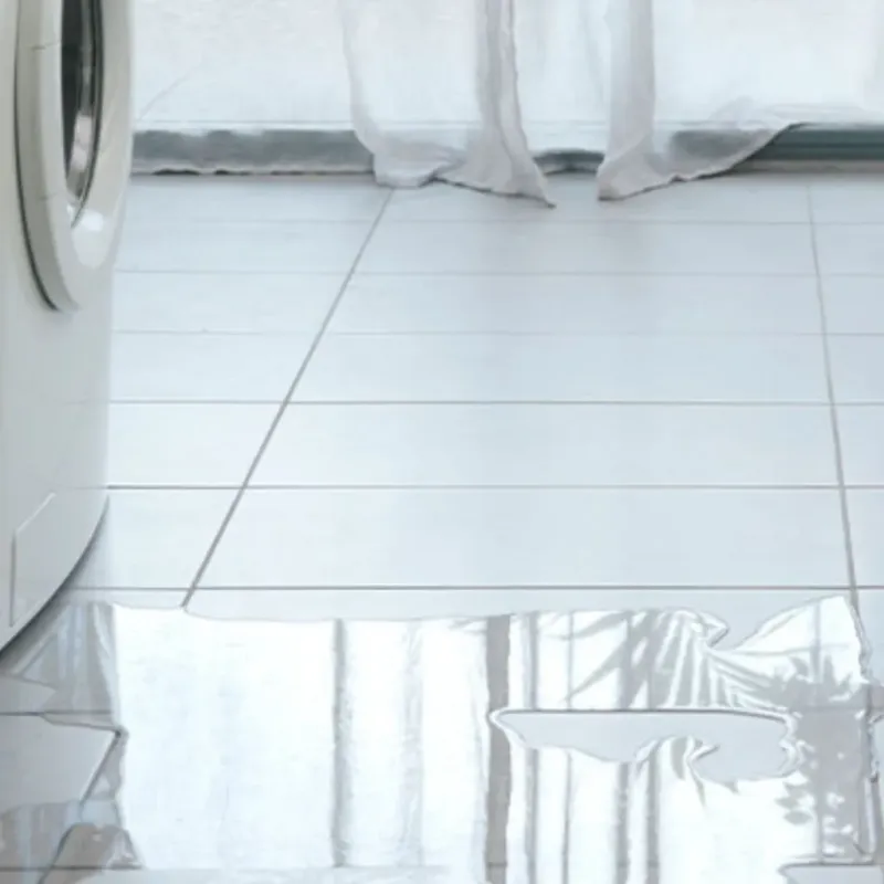 Appliance Leak Cleanup in Greenville, SC