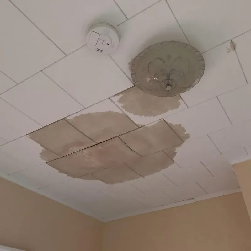 Ceiling Water Damage Repair in Greenville, SC