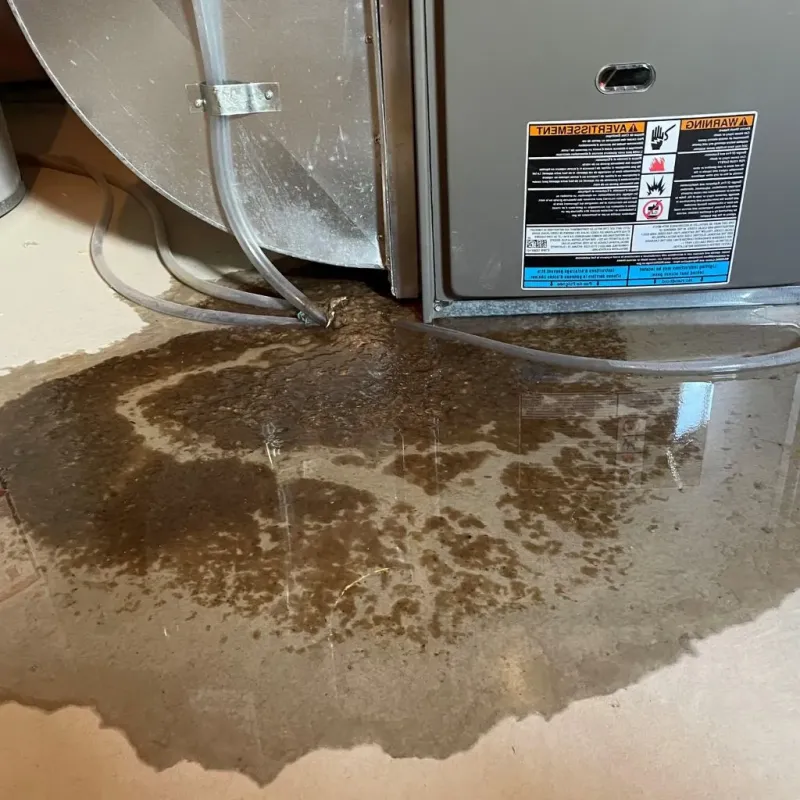 Pipe Burst and Leak Restoration in Greenville, SC