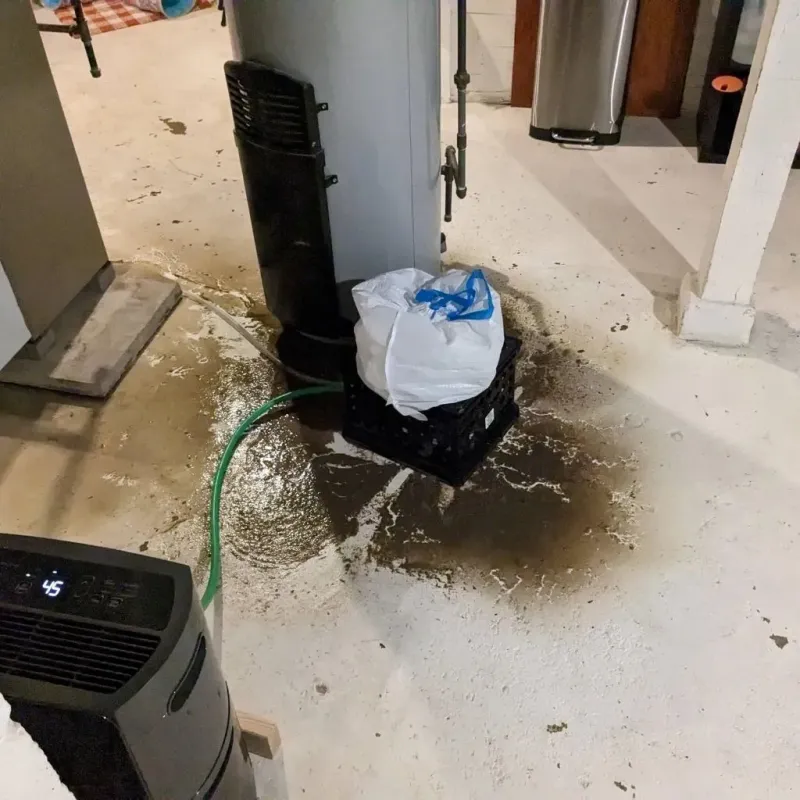 Sewage Backup Cleanup Service in Greenville, SC
